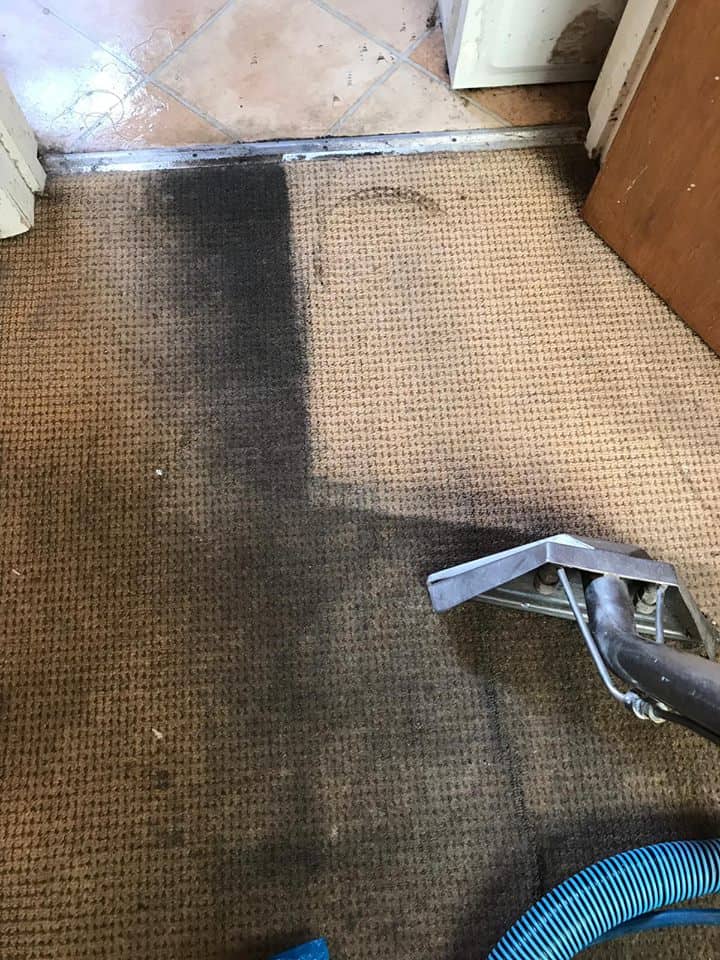 carpet cleaning company